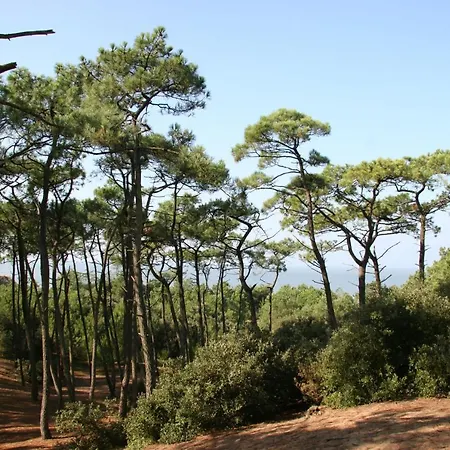 Acces Direct Plage - Brevinoise Renovee 6 Pers Saint-Brevin-les-Pins