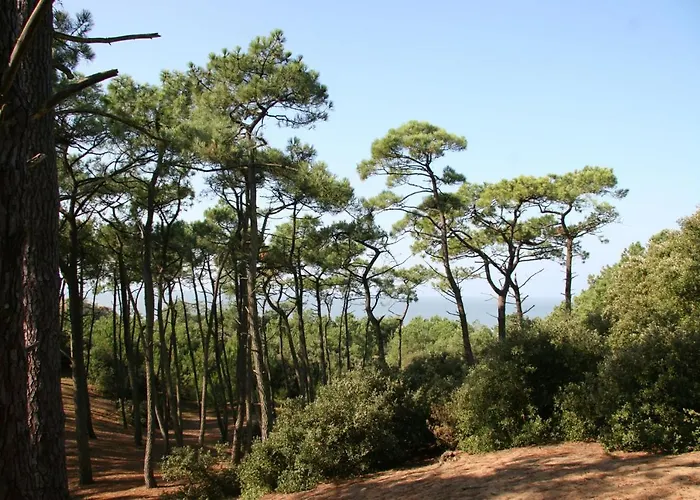 Brévinoise Pour 6 Personnes à 100m De La Saint-Brevin-les-Pins